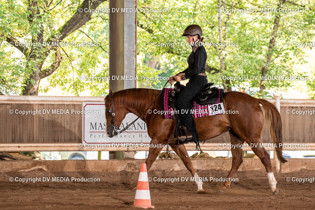 Erbach Tag 3-710 | dv-media-shop - Realisiert mit Pictrs.com