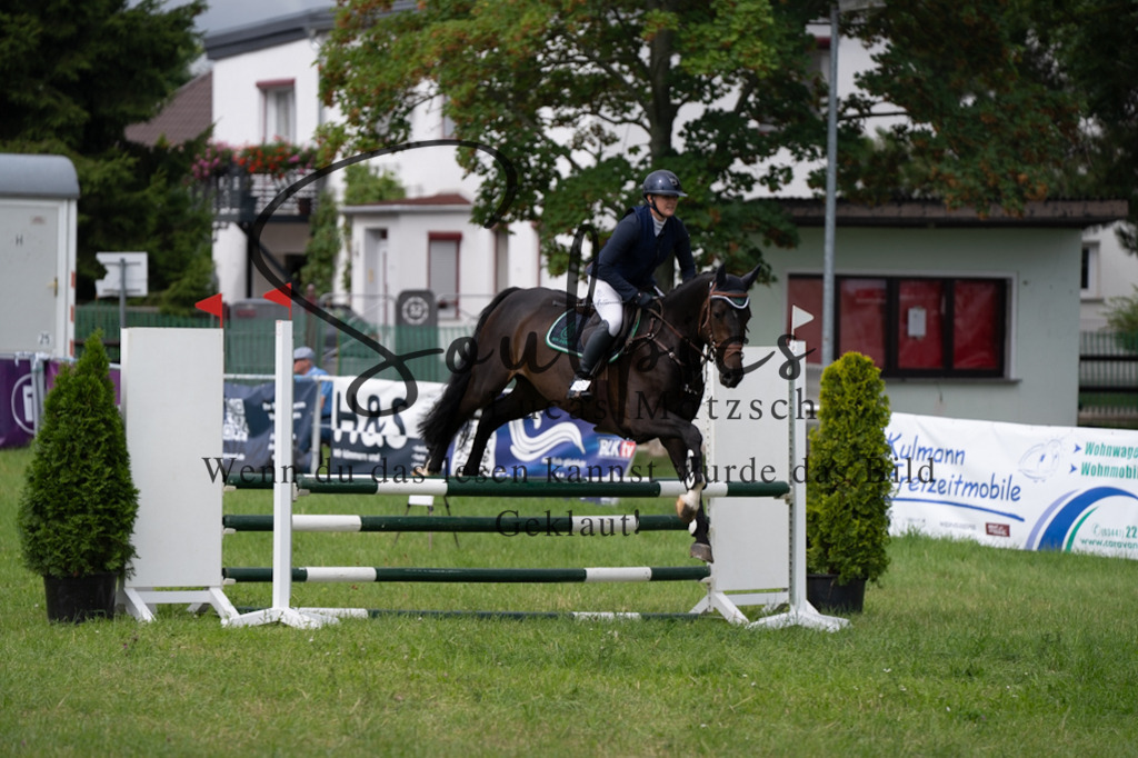 A7V03976 | Pferdefotograf