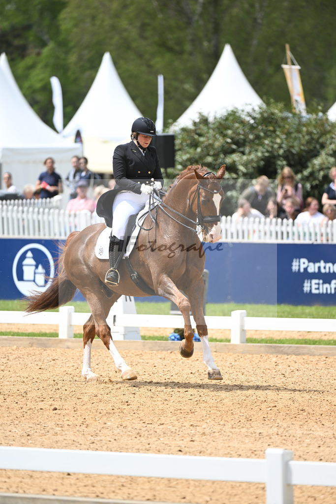 Fastner_St. Fernando_11233706 | hf-fotografie - Realisiert mit Pictrs.com