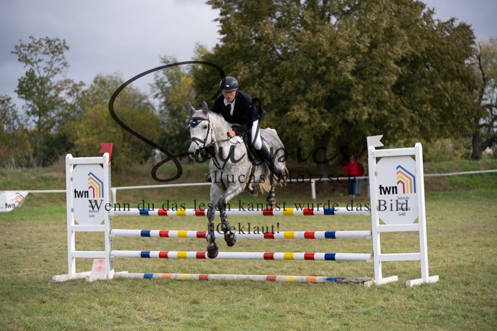 A7V07262 | Pferdefotograf