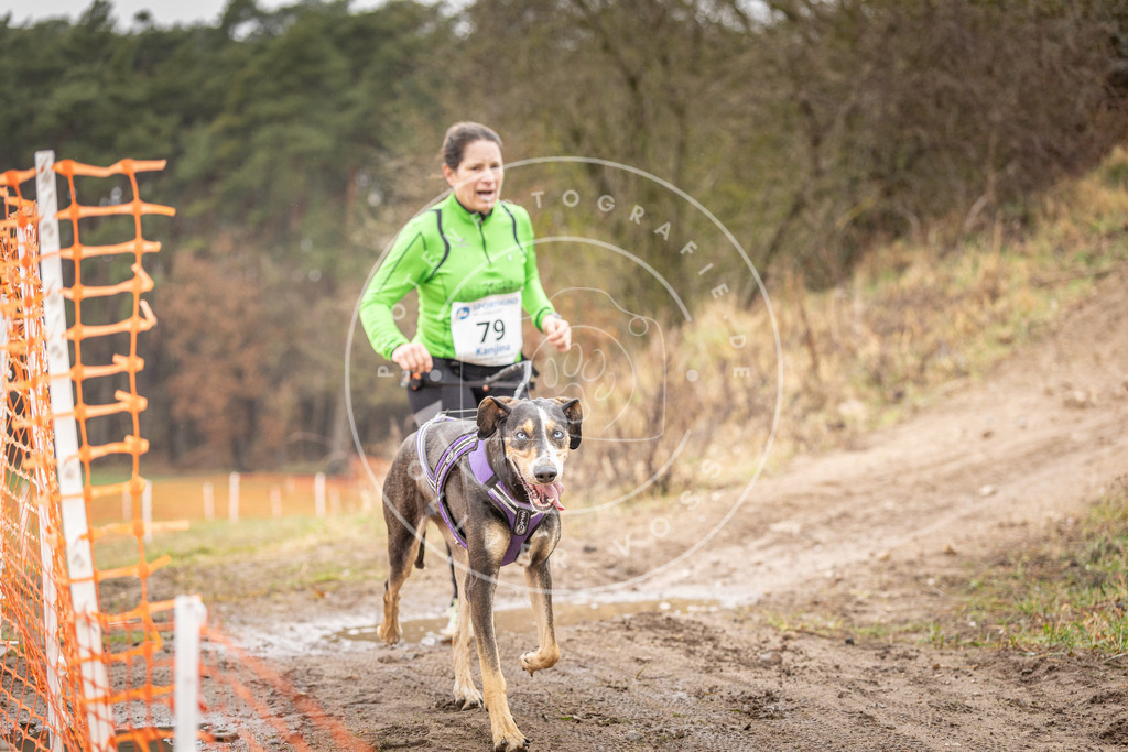 DV3A0332 | Hundefotografie, Tierfotograf, Pfotenfotografie, Fotoshooting Hund, Hunde Portrait, Hundesport, Hundeportraits, Heideshooting, Hunde, Sportfotograf, Hundefotograf, Turnierhundsport, THS,  - Realisiert mit Pictrs.com