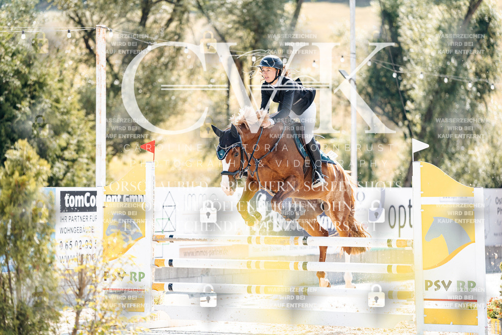 CK908241 | Turnierfotografie Pferdefotografie Trier Rheinland-Pfalz Pferdesport Reitsport Tierfotografie Sportfotografie Pferdevideo Pferdevideografie Equestrianvideography equestrianphotography  - Realisiert mit Pictrs.com