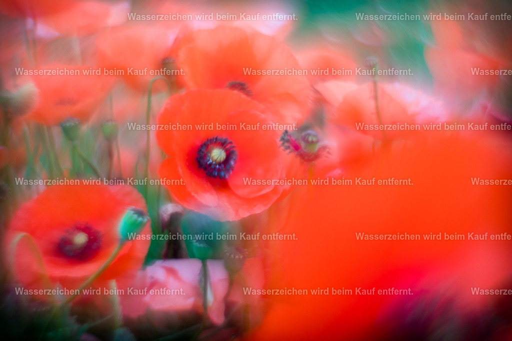 Der Wunsch nach Sicherheit, der Wunsch nach Schutz | Die Botschaft zum Bild lautet: Diese Energien in diesem Bild stärken deine innere Sicherheit, deinen inneren Schutz. Geben dir Schutz durch die Verbindung zur Erde. Empfinde, empfange und leben diesen Schutz und diese Sicherheit. Und erkenne an, dass diese Werte in deinem Leben eine große Rolle spielen. Und wenn du das erkannt hast, kannst du endlich dein Leben tanzen.