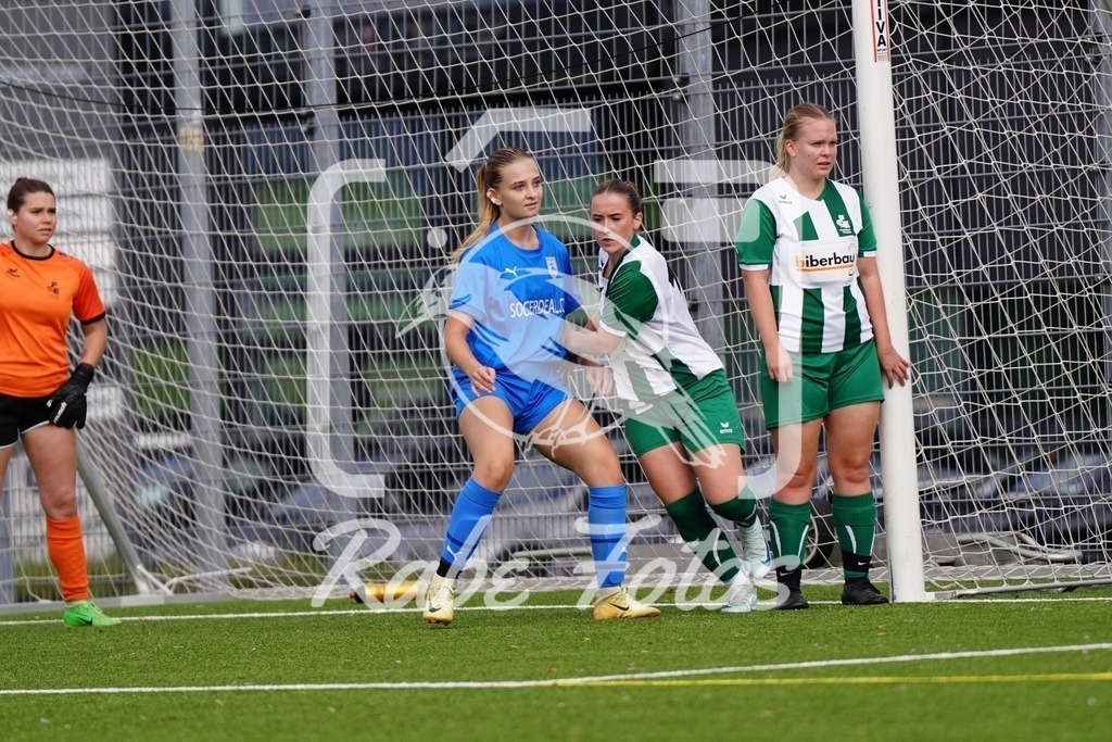 SON06390 | rabefotos