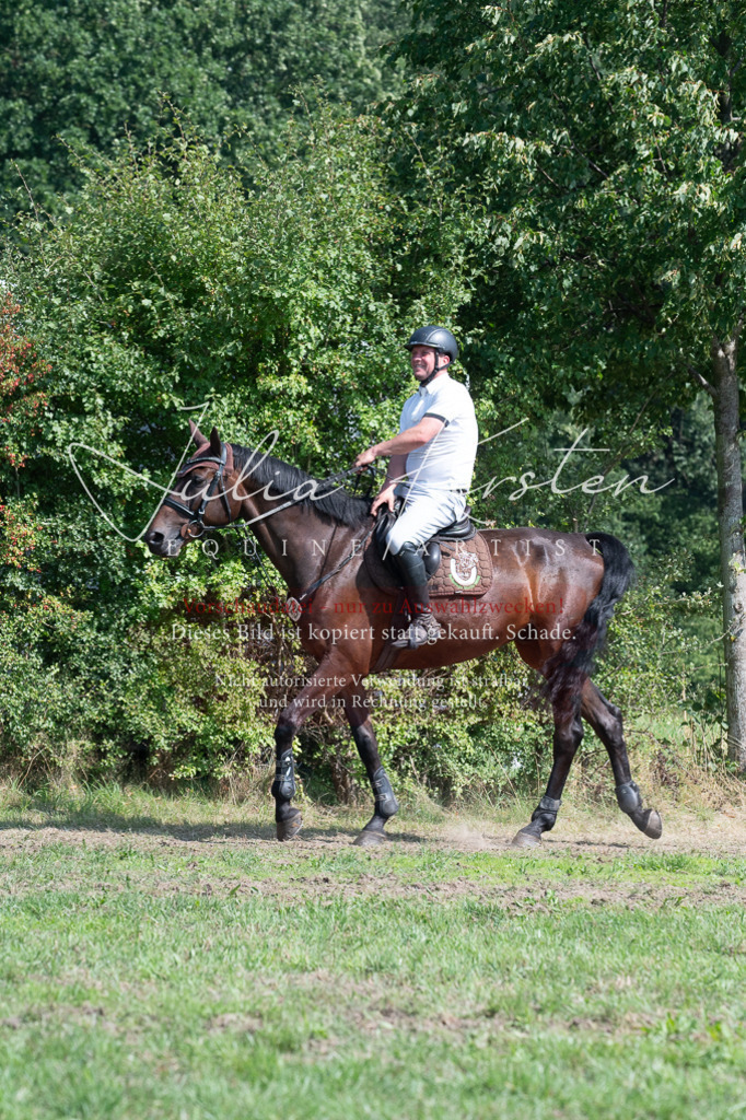 DSC_0783 | Pferde- und Turnierfotografie in Westsachsen. Pferdeportraits, Auftragszeichnungen und intuitive Kunst.