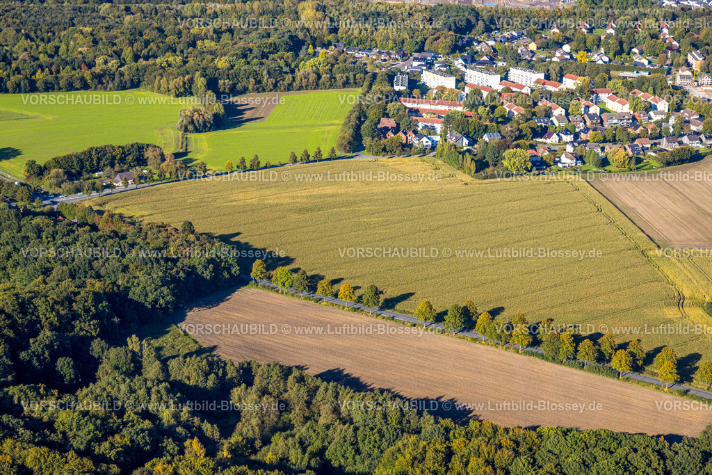 Bergkamen241006452Maiwald | Luftbild, dreieckige Baumgruppe auf einem Feld an der Lünener Straße, Acker, Feld, Baumgruppe, Landwirtschaft, Weddinghofen, Bergkamen, Ruhrgebiet, Nordrhein-Westfalen, Deutschland