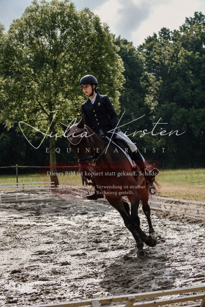 DSC_8601 | Pferde- und Turnierfotografie in Westsachsen. Pferdeportraits, Auftragszeichnungen und intuitive Kunst.