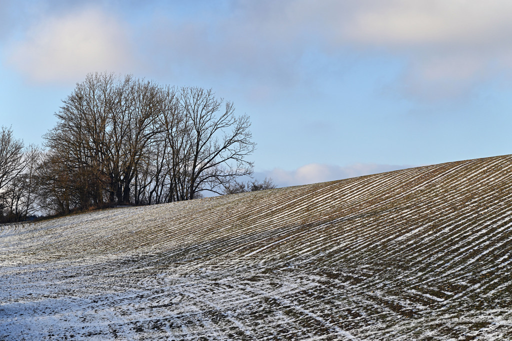 Nikon-Utendorf260105-Feld04 | lucisnaturbilder - Realisiert mit Pictrs.com