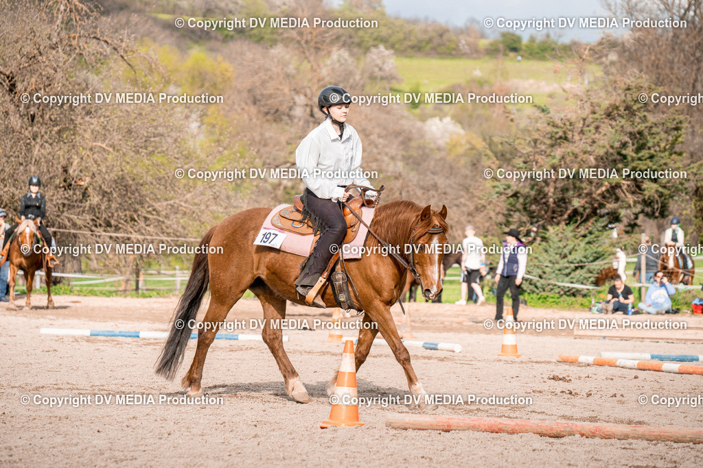 BAL02860 | dv-media-shop - Realisiert mit Pictrs.com