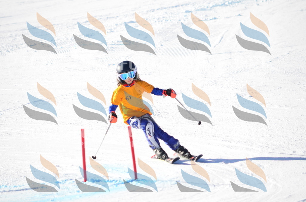 C5795 | holidayphoto