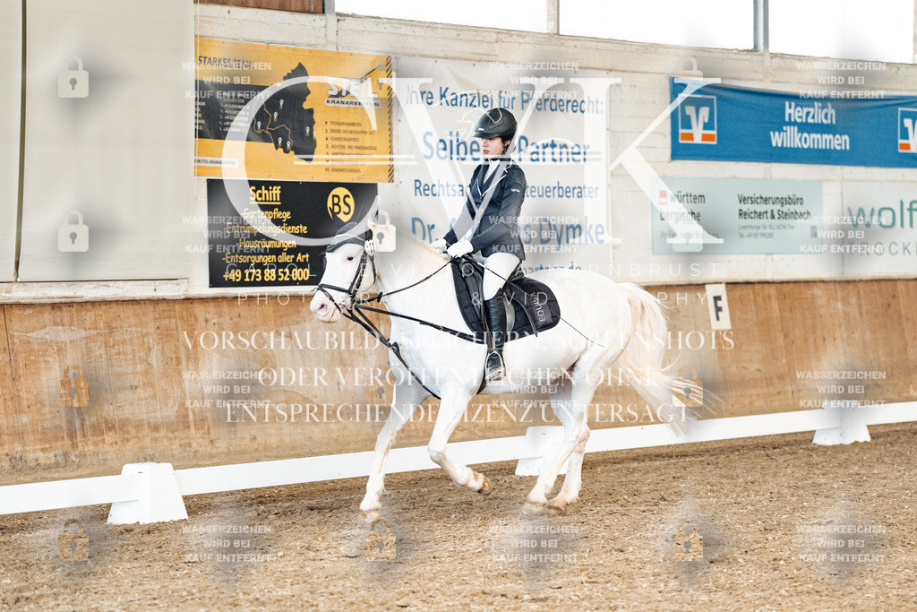 CK900568 | Turnierfotografie Pferdefotografie Trier Rheinland-Pfalz Pferdesport Reitsport Tierfotografie Sportfotografie Pferdevideo Pferdevideografie Equestrianvideography equestrianphotography  - Realisiert mit Pictrs.com