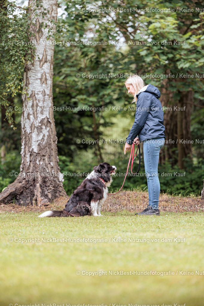 RO-Blumenthal-2026-Nickbest-Hundefotografie-5146 | Dein Hund! Dein Moment! Deine Erinnerungen! Hundefotografie in Bremen Blumenthal. Ich fange die besonderen Momente deines Vierbeiners ein – ob Indoor mit Blitzanlage oder in der freien Natur. Sicher dir dein Moment und dein Termin für eure Erinnerungen.