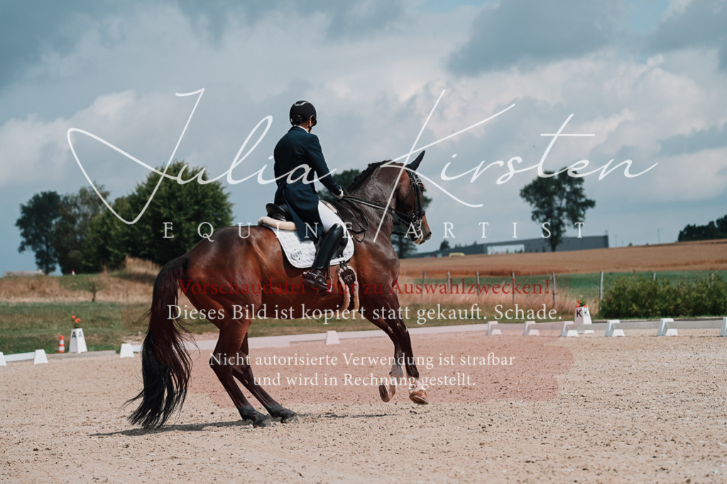 DSC_3876 | Pferde- und Turnierfotografie in Westsachsen. Pferdeportraits, Auftragszeichnungen und intuitive Kunst.
