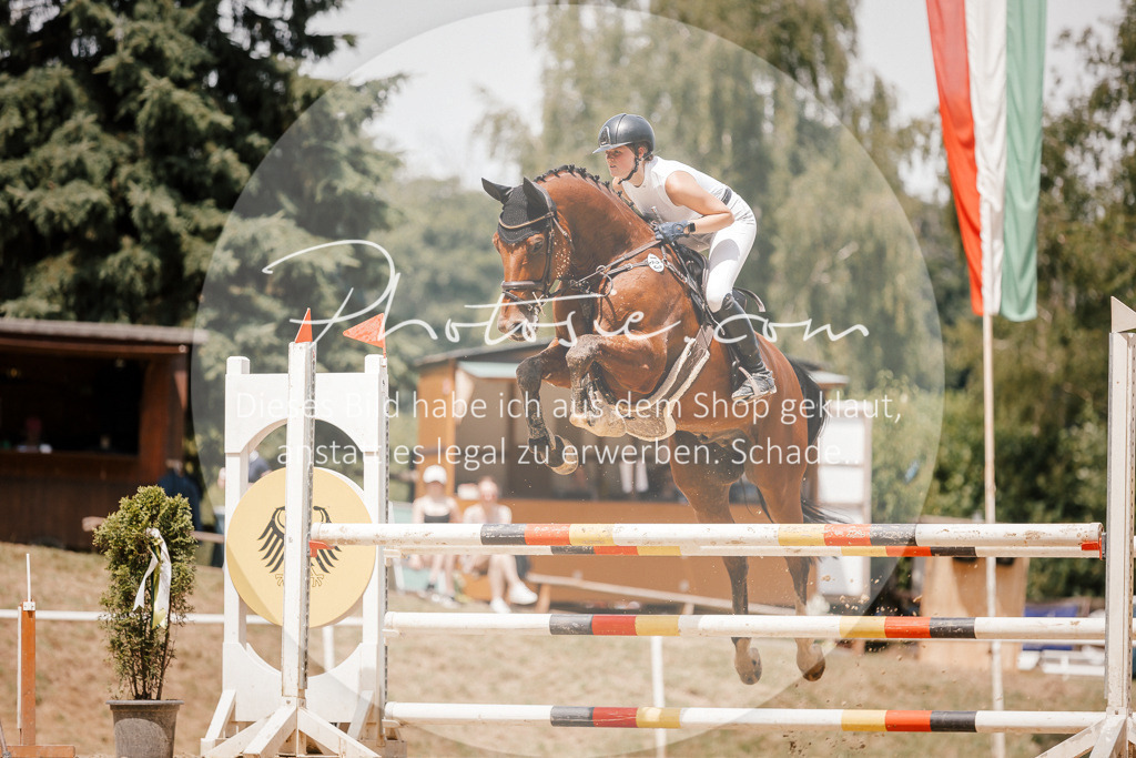 3I6A7839 | Stimmungsvolle Portraits und Reitsportfotografie im Ruhrgebiet und im Münsterland.

Pferdefotografie, Hundefotografie, Tierfotografie, Reportagen, Portraits von Tier und Mensch, Turnierfotografie in Bochum, Recklinghausen, Marl, Haltern am See, Dülmen.. - Realisiert mit Pictrs.com
