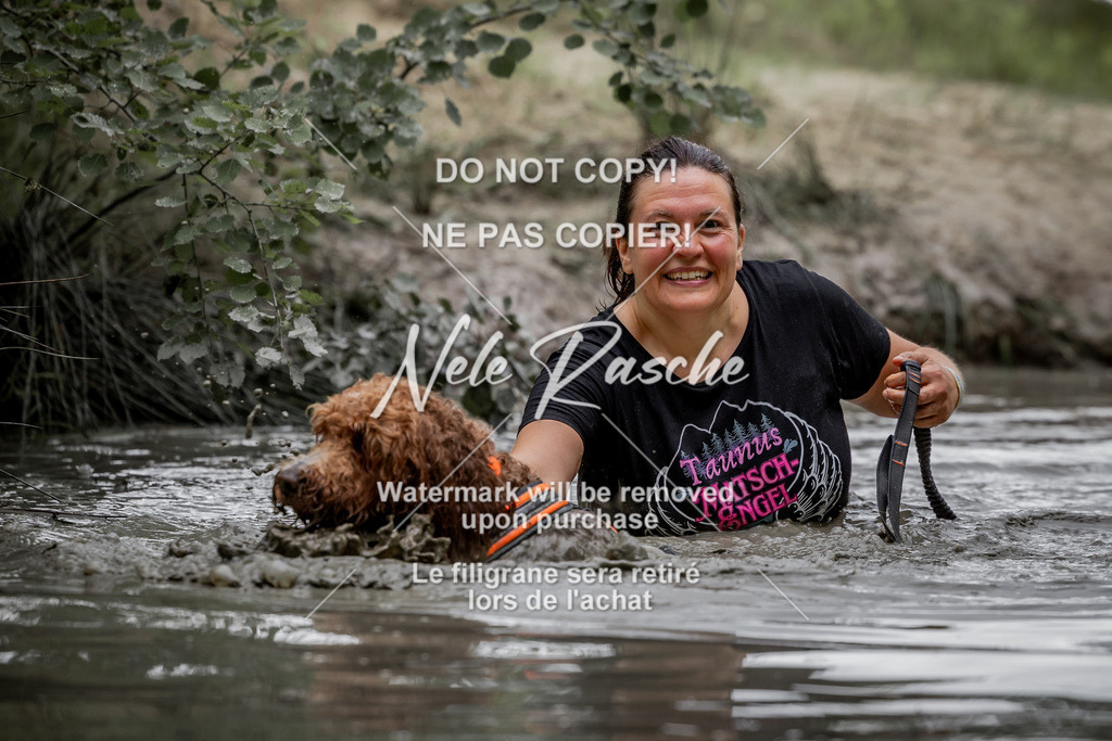 nelerasche_so0800-0930_498 | nelerasche