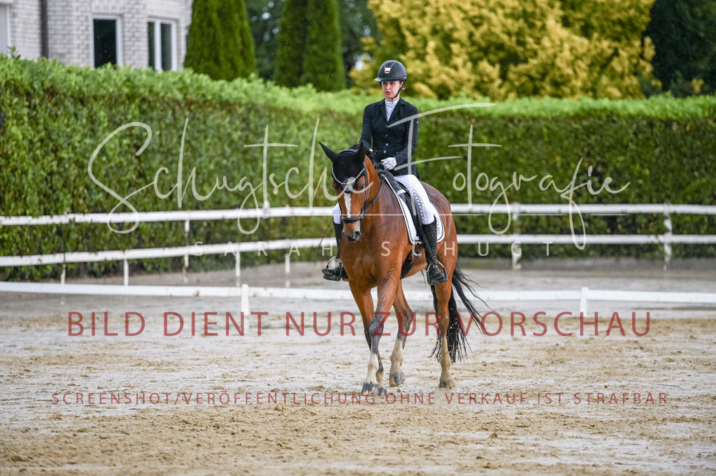 Schugtsche-Aluta25-55.Dressurreiterprf.L1Tr-287 | Schugtsche Fotografie - Realisiert mit Pictrs.com