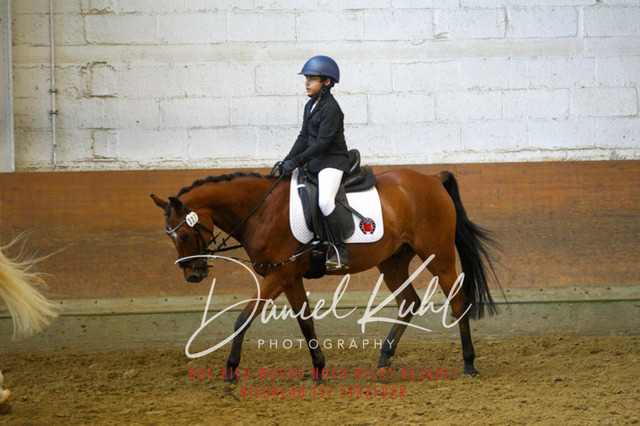 DKP43813 | Turniersportfotografie; Pferdefotografie; Dressurfotografie