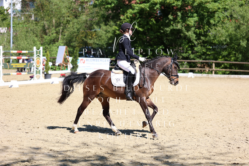 IMGS1186 | pl-fotografie