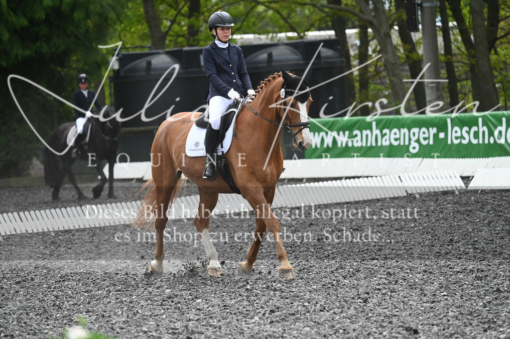 20230512_JK-Röhrsdorf-07-059 | Pferde- und Turnierfotografie in Westsachsen. Pferdeportraits, Auftragszeichnungen und intuitive Kunst.