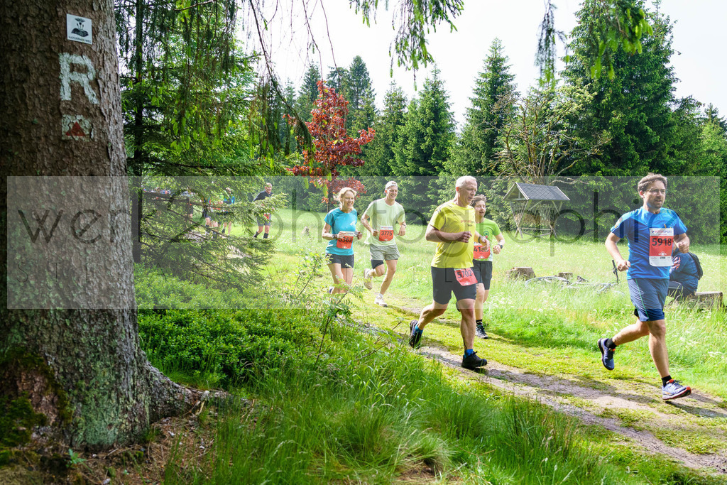 Rennsteiglauf Marathon 2024 | 25. Mai 2024 - 42,2 km von Neuhaus nach Schmiedefeld