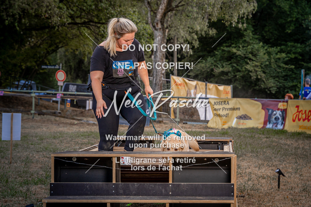 nelerasche_SummerNights26_SaBrücke2000-2030_309 | nelerasche
