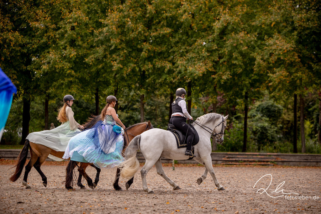 846A0728 | fotosleben - Realisiert mit Pictrs.com