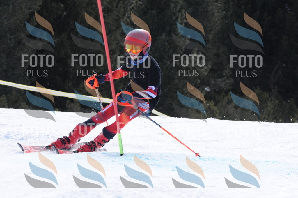 C9949 | holidayphoto