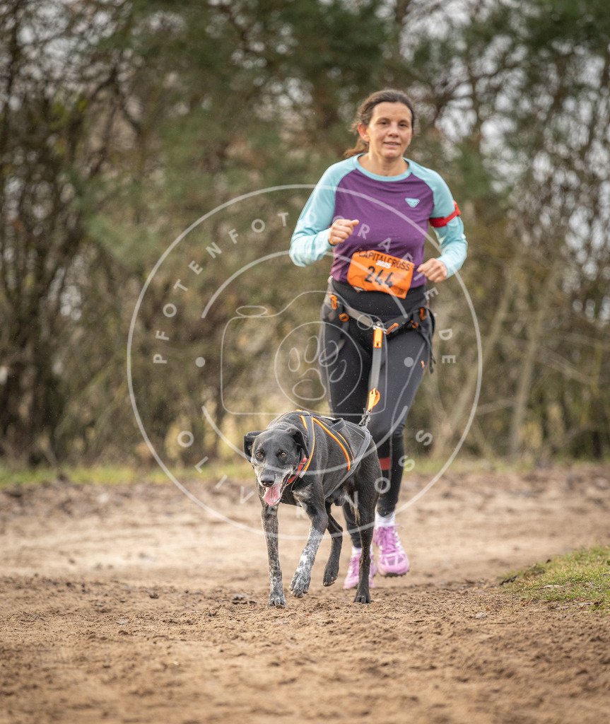 Pfotenfotografie_DV3A1125 | Hundefotografie, Tierfotograf, Pfotenfotografie, Fotoshooting Hund, Hunde Portrait, Hundesport, Hundeportraits, Heideshooting, Hunde, Sportfotograf, Hundefotograf, Turnierhundsport, THS,  - Realisiert mit Pictrs.com