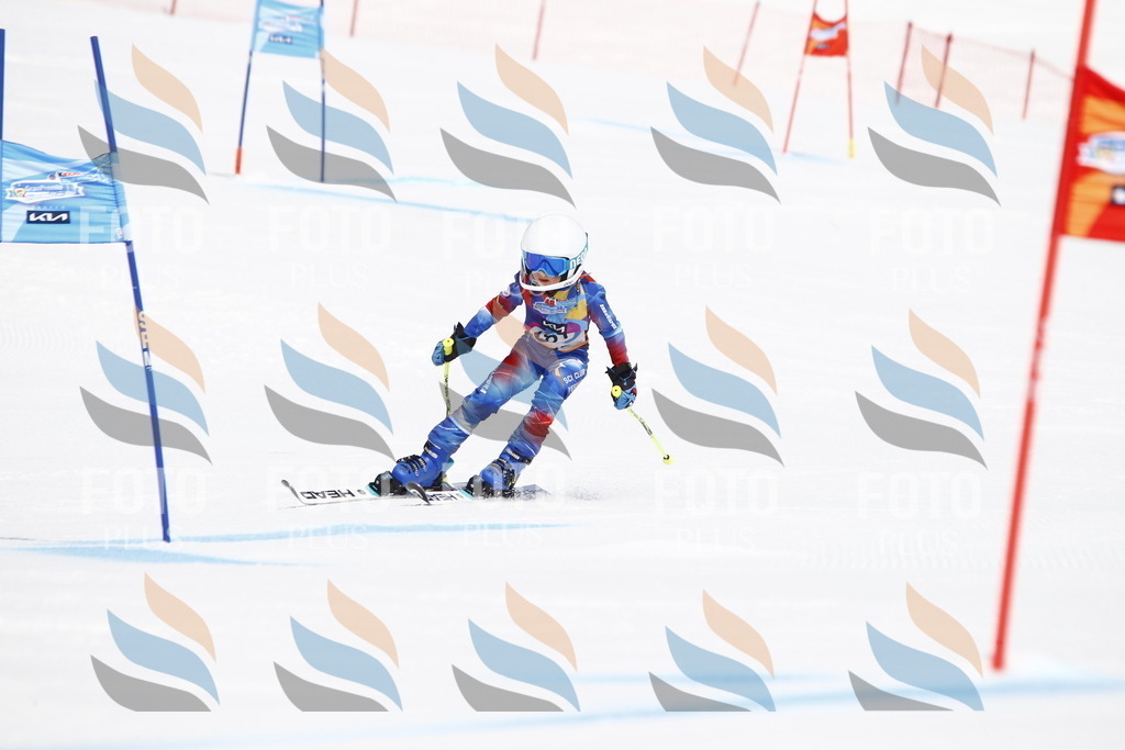 _U3G4751 | holidayphoto