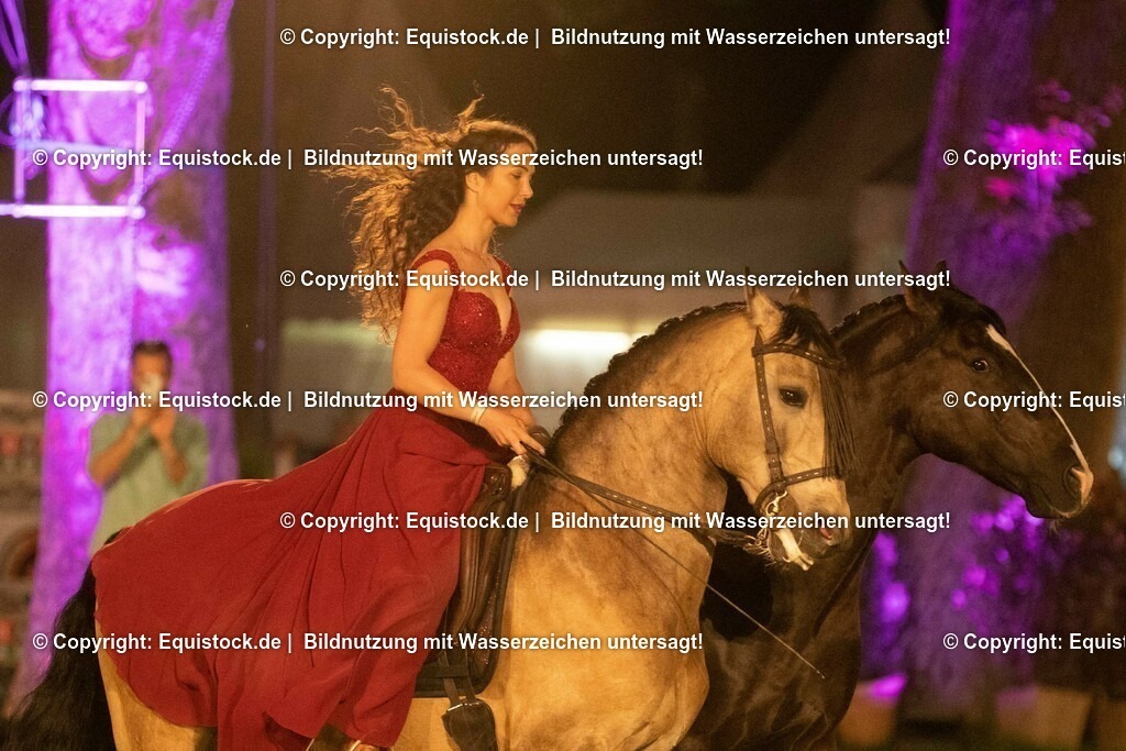 20230526_Pferdenacht_1402 | equistock