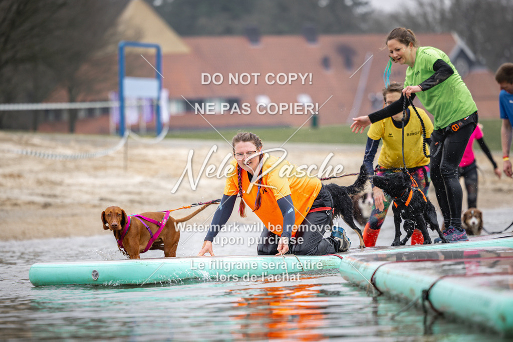nelerasche_Hulsbeek_Sa1130-1230_107 | nelerasche