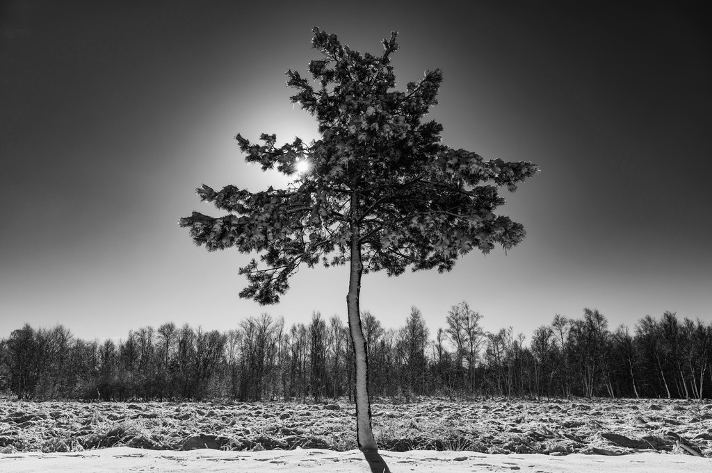 2023_03_11_MCP7309 sw | Hochwertig gedruckte Fotografien für die Wand, als Kalender und zum Verschenken. Hamburg & Norddeutschland und überall wo ich mit der Kamera unterwegs war.