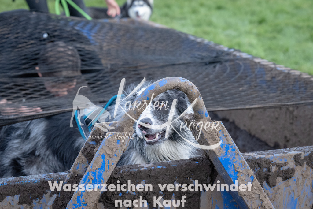 1624_ZZ92457 | kk-dogfotos