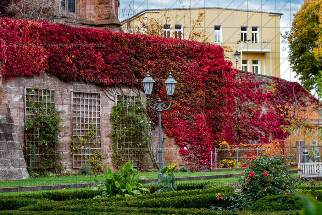 20251019171404D75_8915 | Kaufen sie online außergewöhnliche Fotografien auf Leinwand Acrylglas Fotoprint Aludibond von holgerweigeltfotografie - Realisiert mit Pictrs.com