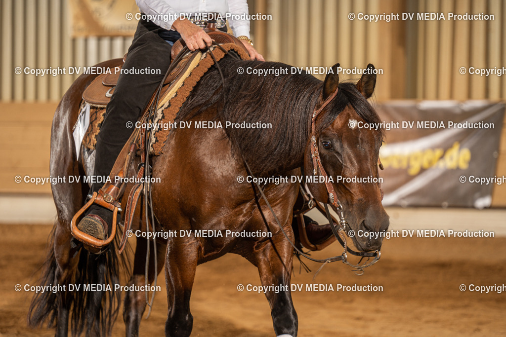 NID02072 | dv-media-shop - Realisiert mit Pictrs.com