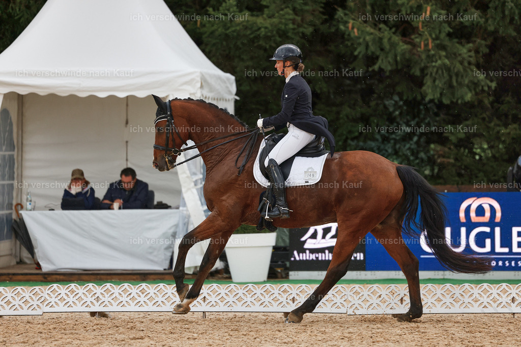 8_2-149-DRESSUR S_  -StoibPH-4469 | working equitationturnier fotograf videograf stoibphotography marixx film working equitation deutschland reitsport turnierfotografie eventfotografie equestrian events