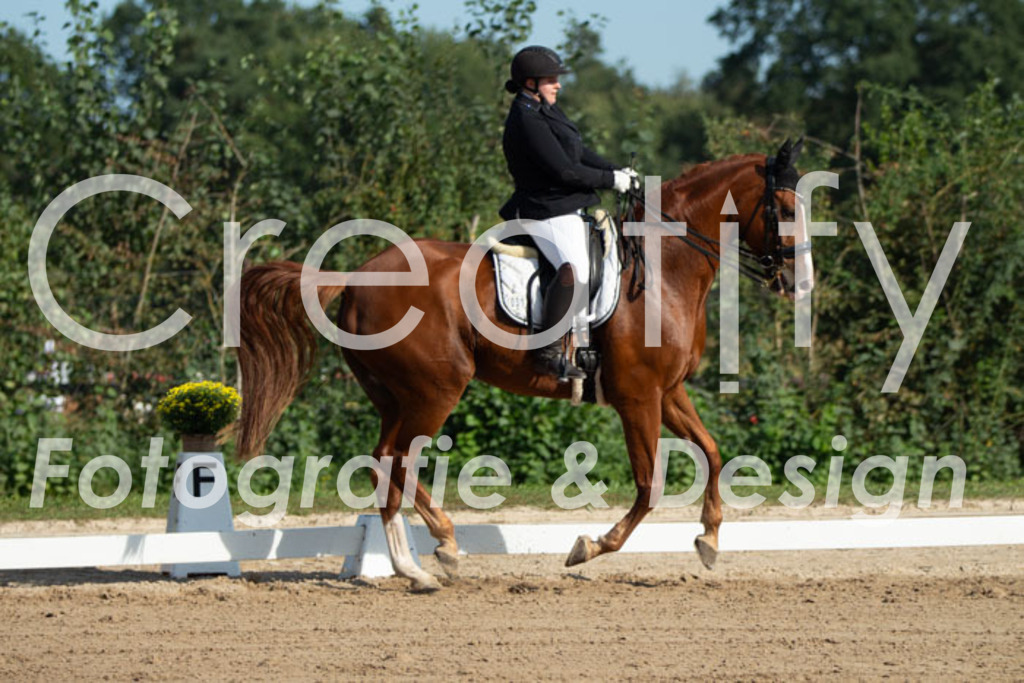 IMG_0433 | Creatify Fotografie