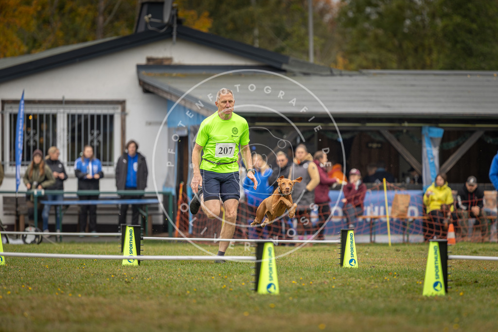 Pfotenfotografie_DV3A1777 | Hundefotografie, Tierfotograf, Pfotenfotografie, Fotoshooting Hund, Hunde Portrait, Hundesport, Hundeportraits, Heideshooting, Hunde, Sportfotograf, Hundefotograf, Turnierhundsport, THS,  - Realisiert mit Pictrs.com