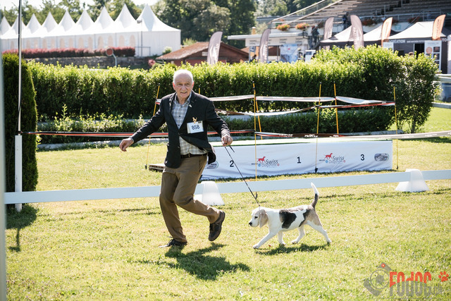 CACIB Aarau | CACIB Aarau, Swiss Dog Show  28062025 Foto: Leo Wyden