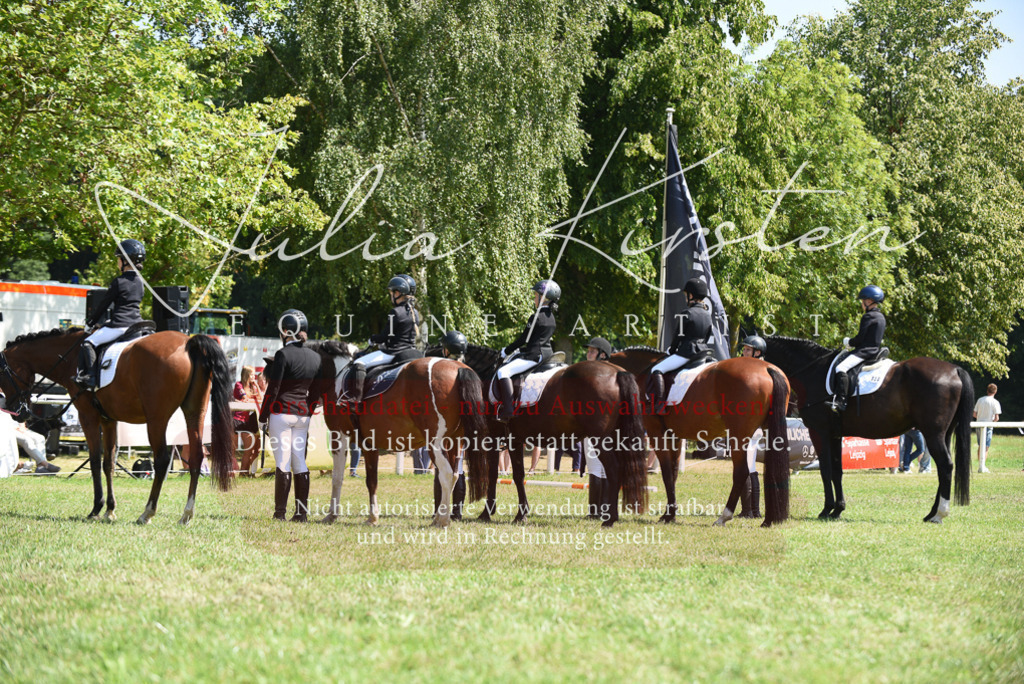 DSC_9821 | Pferde- und Turnierfotografie in Westsachsen. Pferdeportraits, Auftragszeichnungen und intuitive Kunst.