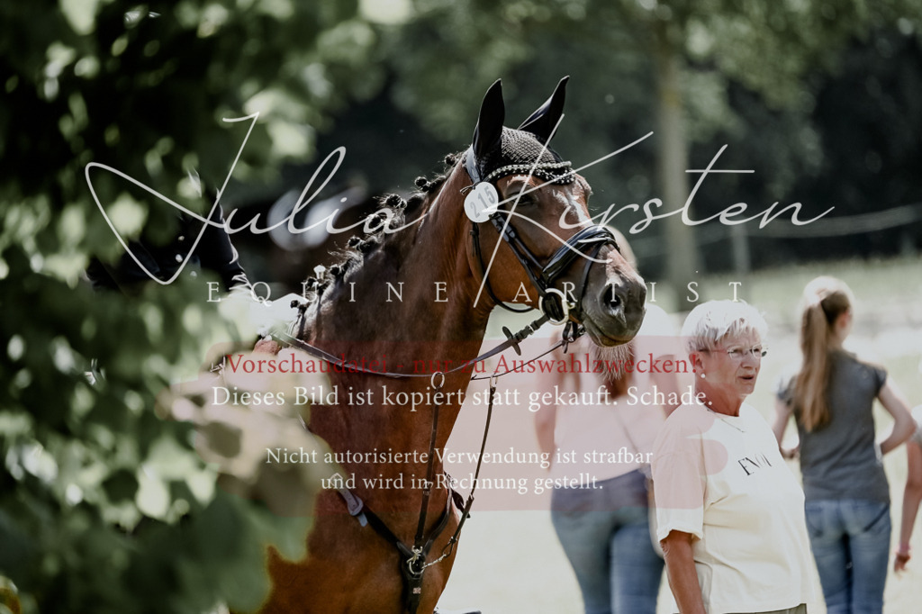 DSC_9541 | Pferde- und Turnierfotografie in Westsachsen. Pferdeportraits, Auftragszeichnungen und intuitive Kunst.