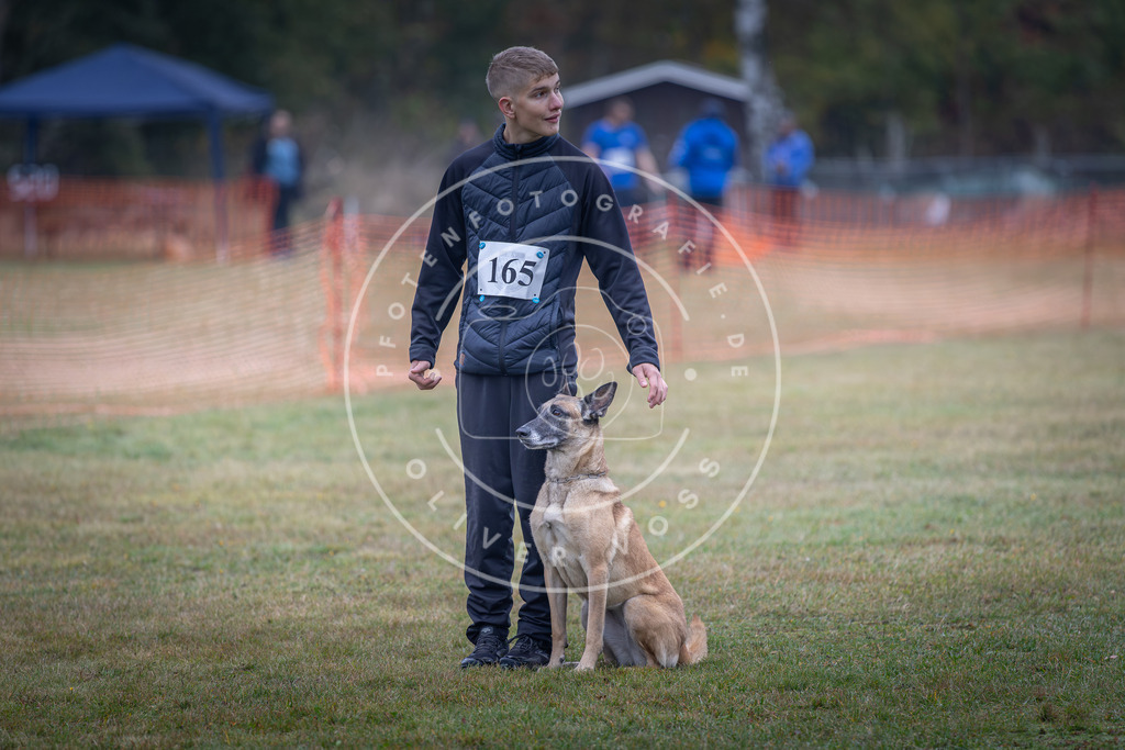Pfotenfotografie_DV3A8913 | Hundefotografie, Tierfotograf, Pfotenfotografie, Fotoshooting Hund, Hunde Portrait, Hundesport, Hundeportraits, Heideshooting, Hunde, Sportfotograf, Hundefotograf, Turnierhundsport, THS,  - Realisiert mit Pictrs.com