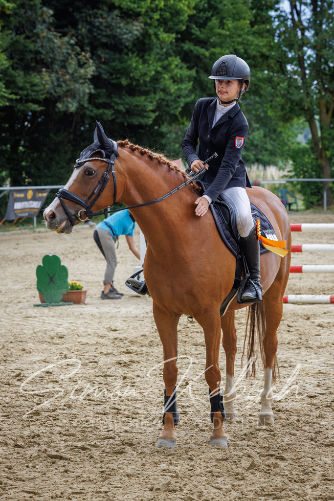 20260705-_3LI5533 | Tierfotografie Pferde, Hunde, Katzen, Haustiere.
Turnierfotografie Reitturniere, Reiten, Springreiten, Dressur in Hanau, dem Main-Kinzig-Kreis und dem Rhein-Main- Gebiet um Frankfurt