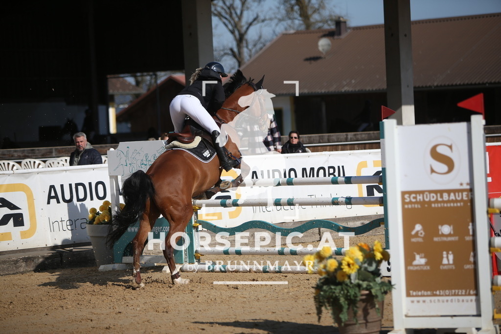 AS8V5484 | Willkommen bei Brunnmayr - Design & Fotografie – Ihrem Spezialisten für Reitturniere und Pferdeveranstaltungen in Oberösterreich, Salzburg und Bayern! Seit über 17 Jahren sind wir leidenschaftlich dabei.