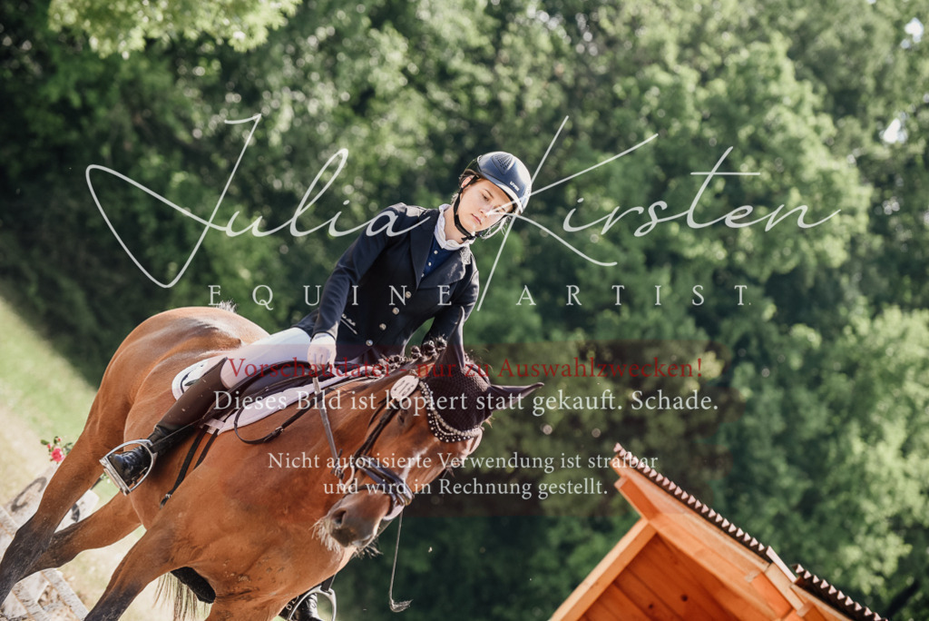 DSC_0461 | Pferde- und Turnierfotografie in Westsachsen. Pferdeportraits, Auftragszeichnungen und intuitive Kunst.