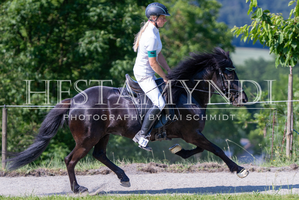 KAI06835 | Ihr sucht einen Fotografen für eure nächste OSI? Ich begleite auch euer Turnier für Islandpferde fotografisch.  - Realisiert mit Pictrs.com