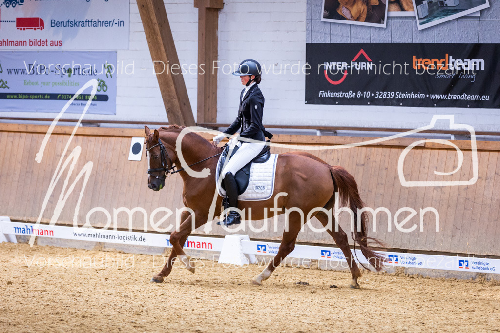 Sth-A-Dre-2St-208 | MomenTaufnahmen Pferdesportfotos