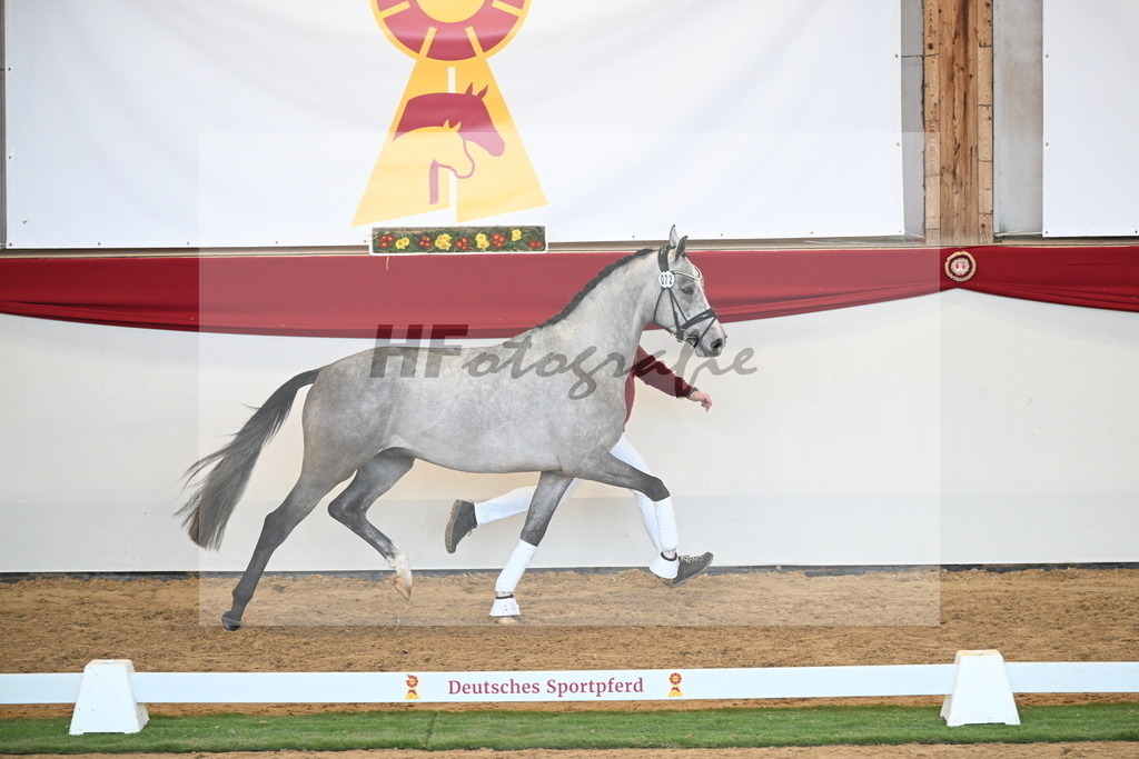 Kat.-Nr. 72 v. Johnson_Lehner_2250603 | hf-fotografie - Realisiert mit Pictrs.com