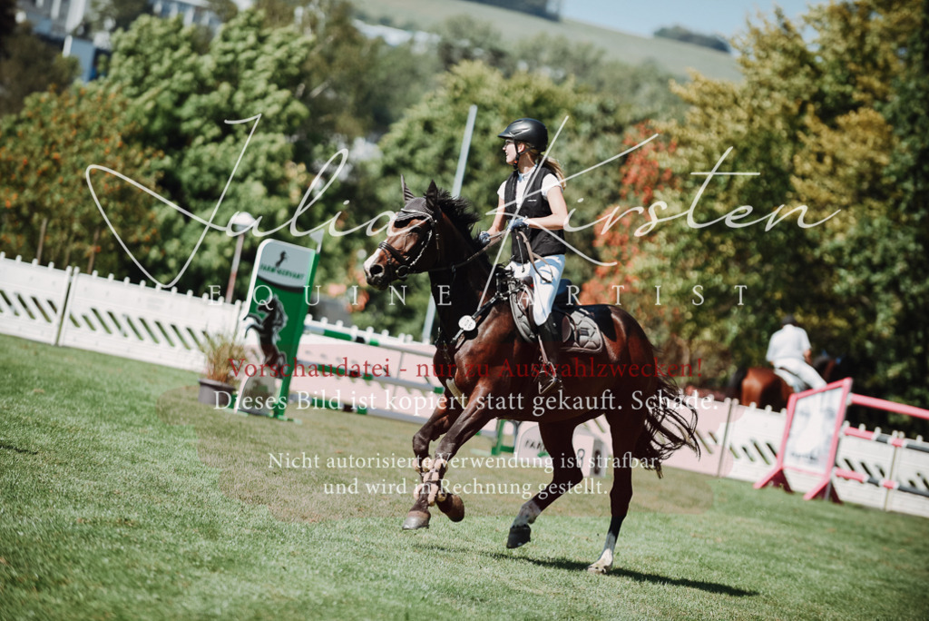 DSC_3178 | Pferde- und Turnierfotografie in Westsachsen. Pferdeportraits, Auftragszeichnungen und intuitive Kunst.