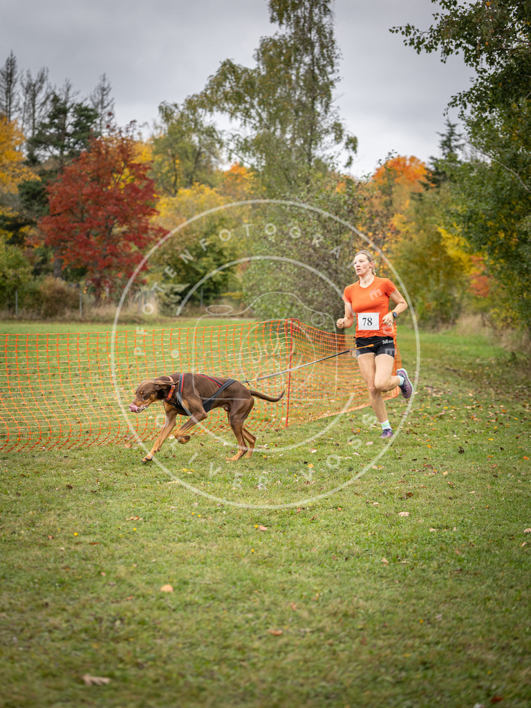 Pfotenfotografie_DV3A2983 | Hundefotografie, Tierfotograf, Pfotenfotografie, Fotoshooting Hund, Hunde Portrait, Hundesport, Hundeportraits, Heideshooting, Hunde, Sportfotograf, Hundefotograf, Turnierhundsport, THS,  - Realisiert mit Pictrs.com